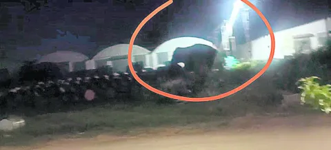 శ్రీనిఫుడ్‌ ఫ్యాక్టరీలో ఏనుగుల హల్‌చల్‌ 
