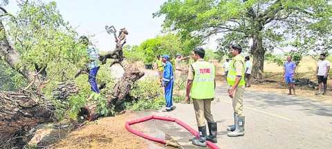 పిచ్చ