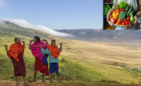 Long Life New Secret: What Is The Kilimanjaro Diet12
