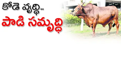 ● ఉత్