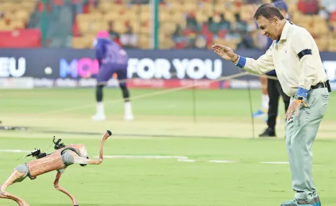 BCCI Sued After Naming IPL Robotic Dog Champak Delhi HC Issues Notice2