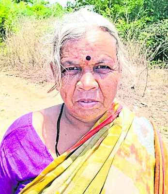 నీళ్ల