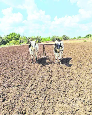 వేసవిలో దున్ను.. దిగుబడులకు దన్ను 