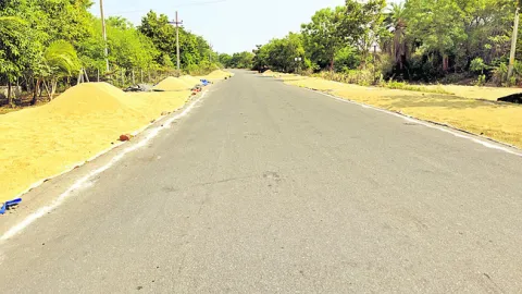 యాసంగ
