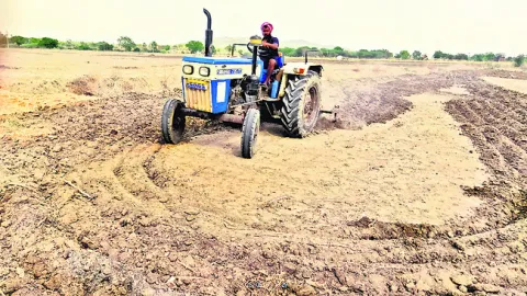 వానాక