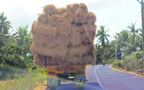 వ్యర్