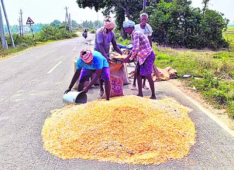 మొక్కజొన్నకు ‘మద్దతు’ కరువు..! 