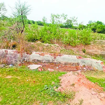 మూగజీవాల గొంతెండుతోంది! 