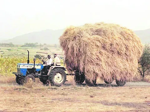 ఎండు గడ్డి ధరకు రెక్కలు 