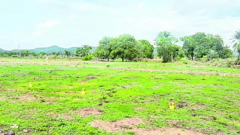 అనుమతులు లేనివి ఎన్నో?