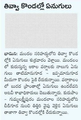 పైడిత