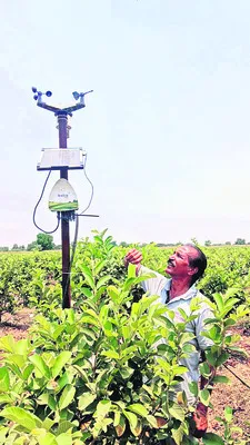లాభాల