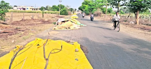 కలెక్