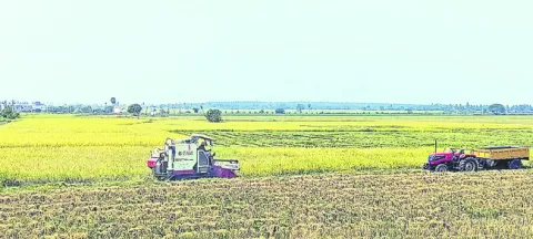 కంచిక