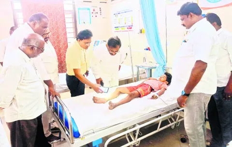 బాలుడికి పాము కాటు   