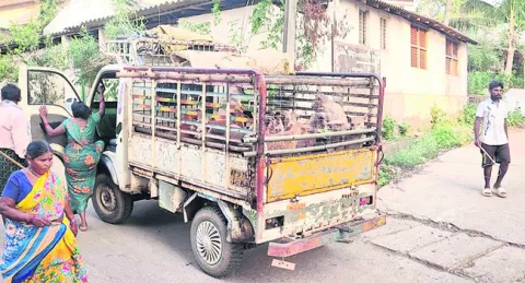 అనాథ 
