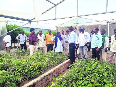 పేపర్‌ మిల్లును  సందర్శించిన రైతులు
