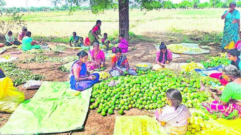 మహిళలకు ఉపాధి 