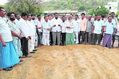 రైతులు ఆందోళన చెందవద్దు.. కొనుగోలు చేస్తాం