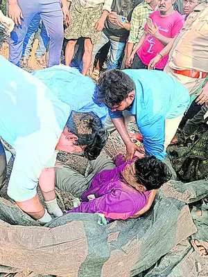 తెల్ల