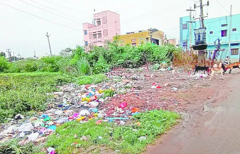 పారిశుద్ధ్యం అస్తవ్యస్తం