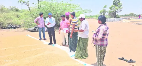 ప్రతి గింజను కొనుగోలు చేస్తాం 