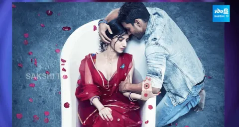 Harshvardhan Rane Exits Sequel Amid Indo-Pak Tensions 1