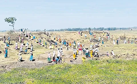 No salary for Employment Guarantee Scheme employees in Andhra Pradesh