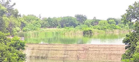 మండుట