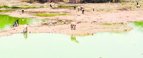 నీటిత
