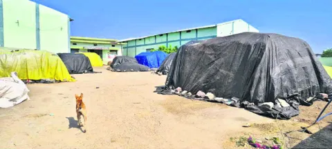 ఎక్కడ