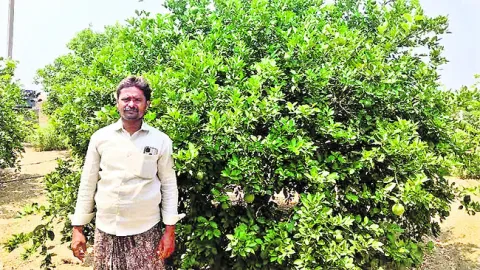 రైతుల కష్టం.. దొంగల పాలు!