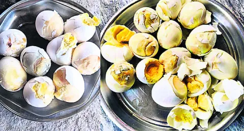 పాడైన గుడ్లే పోషకాహారం! 
