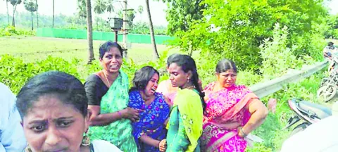 రోడ్డ