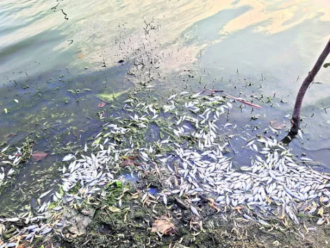 ఎక్కడెక్కడ ఏం జరుగుతోందంటే.. 
