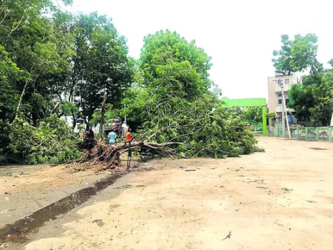 సోమవా