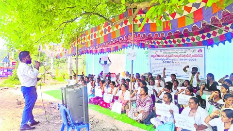 సీహెచ్‌ఓల  డిమాండ్లు నెరవేర్చాలి