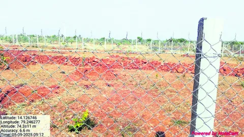 యథేచ్ఛగా ప్రభుత్వ భూముల కబ్జా