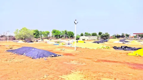 కొనుగ
