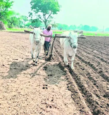 పంటల బీమా పునరుద్ధరణ? 