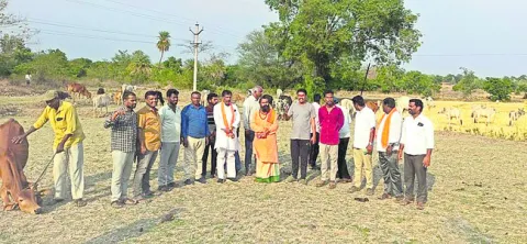 గోశాలకు 48 గోవుల తరలింపు