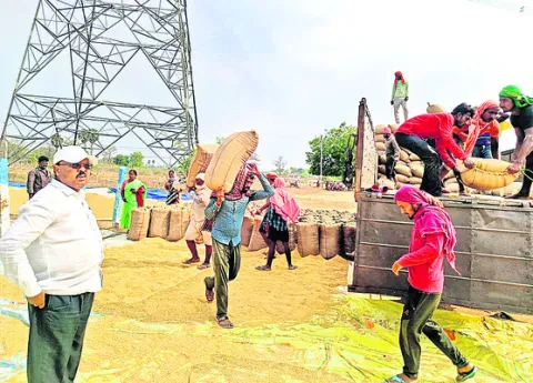 టార్ప