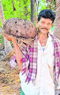 బరువు.. ఆధరవు
