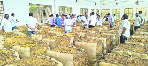 రైతుల