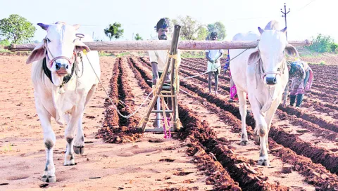 ఖరీఫ్‌కు సిద్ధమవుదాం 