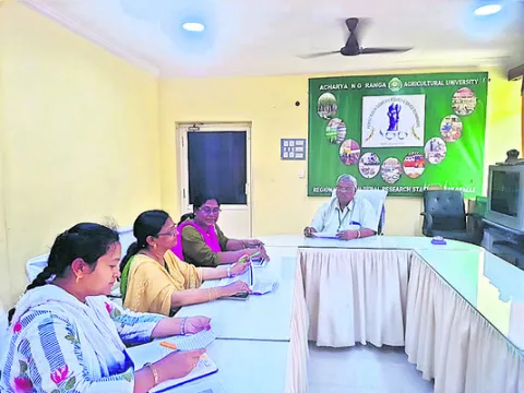 పచ్చిరొట్ట సాగుకు అనుకూలం 