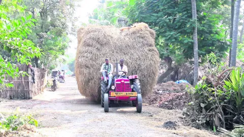 ఎండు గడ్డి ప్రియం 