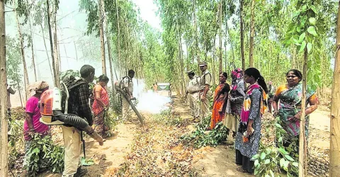 చైతన్యంతోనే అగ్నిప్రమాదాల నివారణ