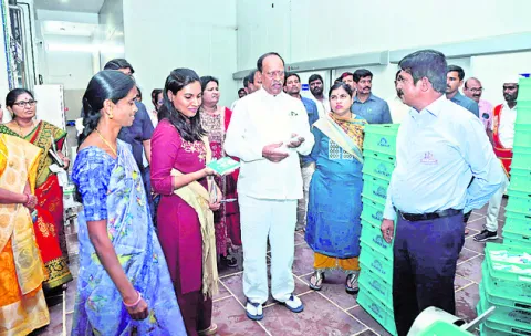 మహిళా డెయిరీ ఏర్పాటుతో ఆర్థికాభివృద్ధి