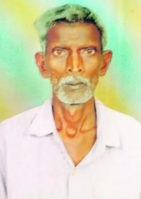 పలు క